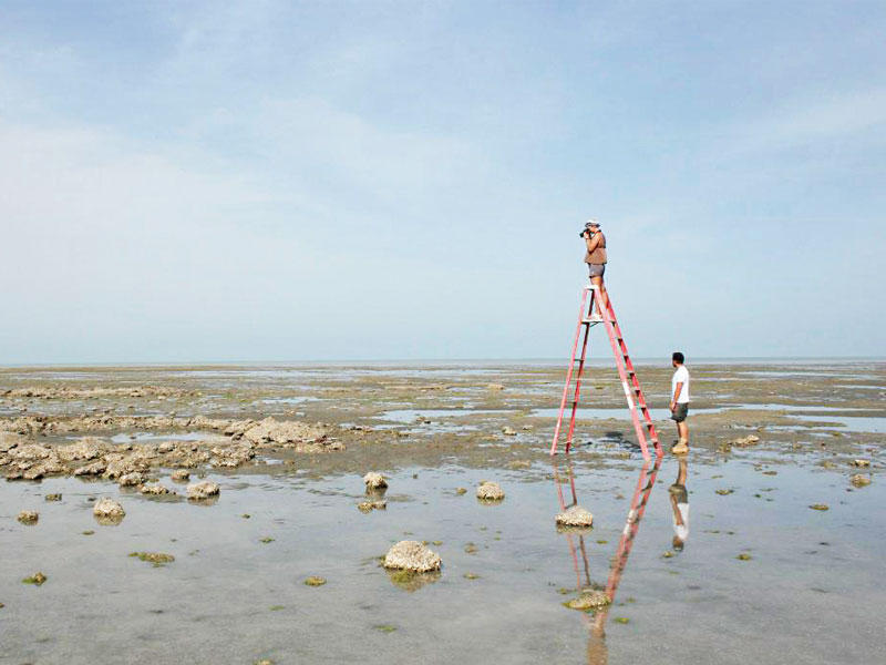 من عمليات المسح