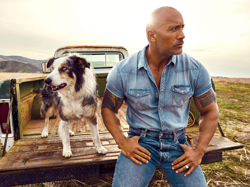 دواين جونسون