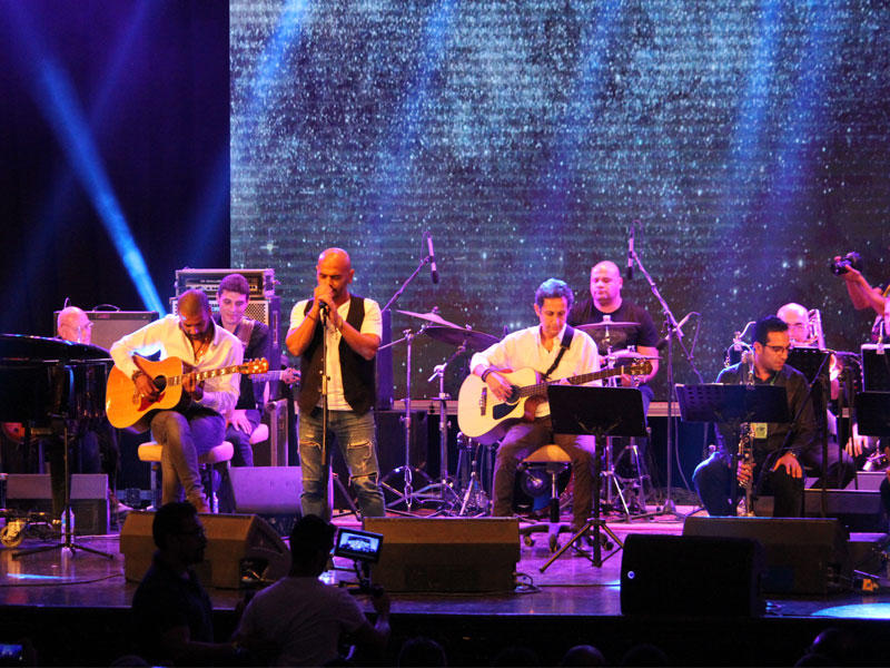 فرقة مسار إجباري 