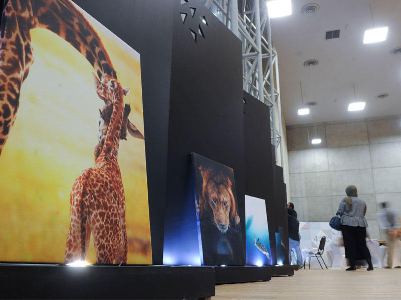 معرض الصور الفوتوغرافية على هامش مهرجان عدسة