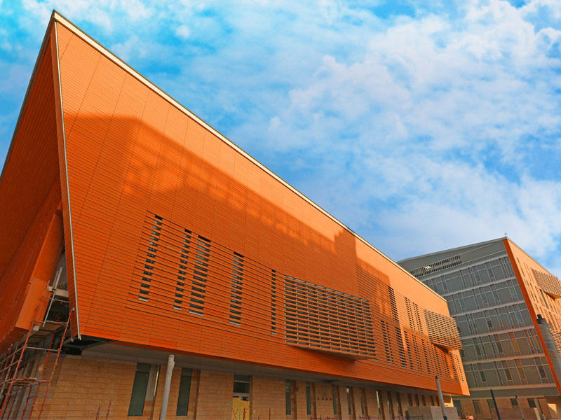 جامعة الشدادية