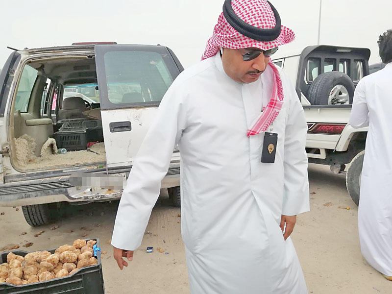 جانب من حملة البلدية