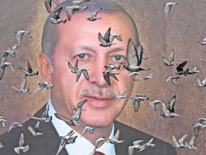 طيور أمام صورة إردوغان في بورصة أمس الأول (رويترز)