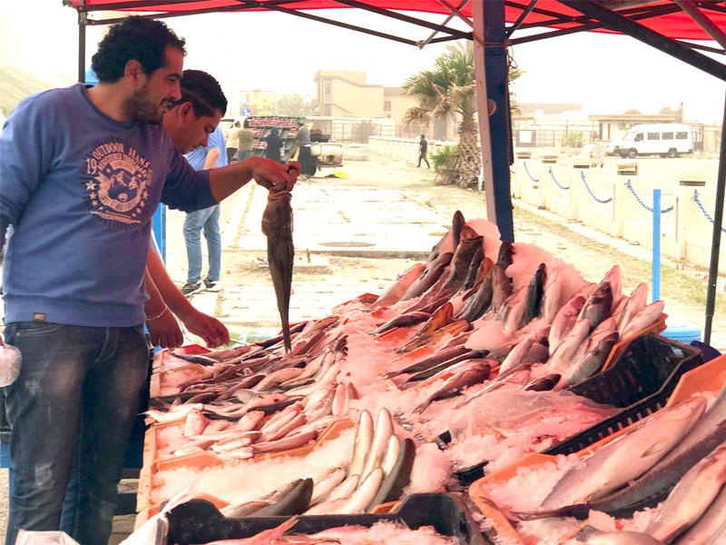 جانب من مرفأ طرابلس    (أ ف ب) 