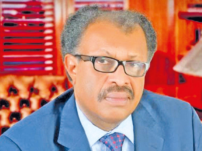 الروائي السوداني أمير تاج السر