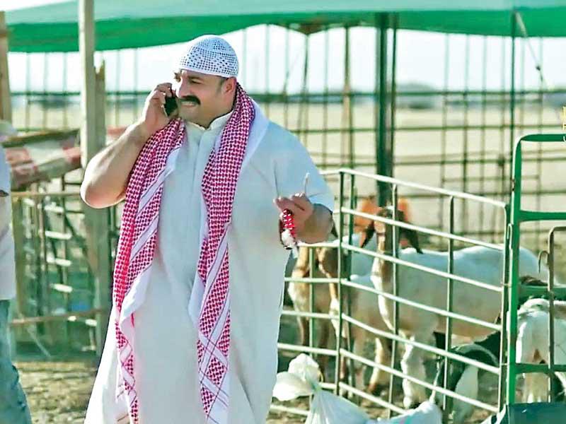 عبد المحسن القفاص 