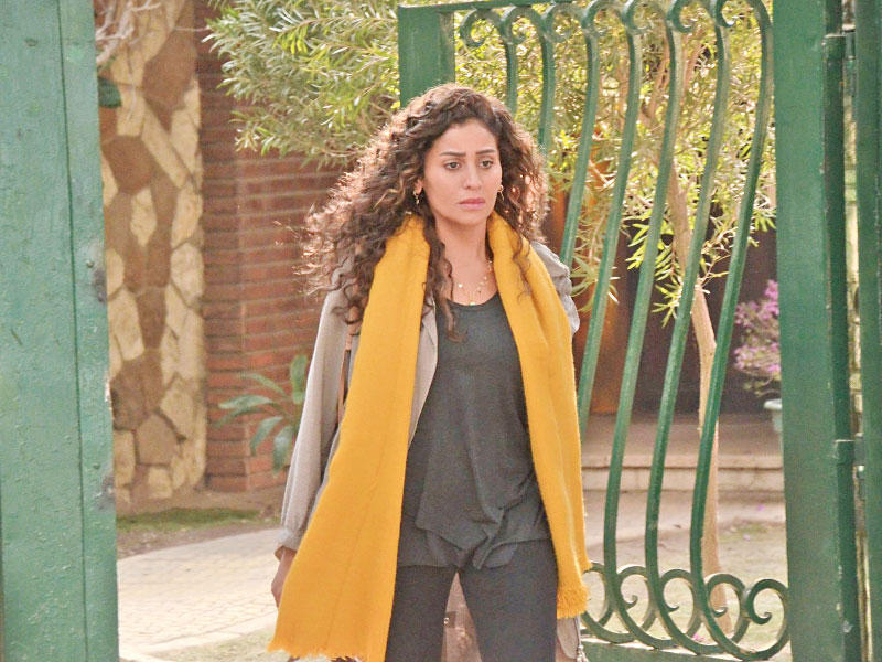 الفنانة دينا الشربيني