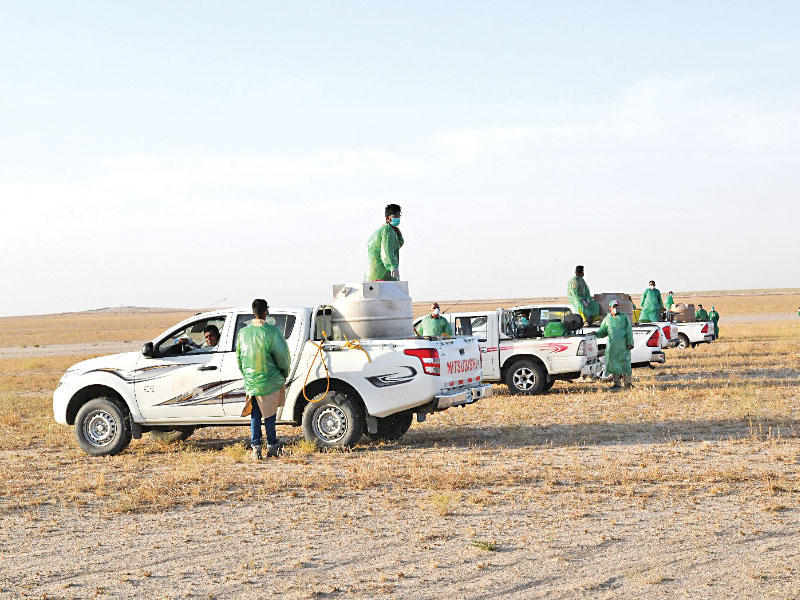 جانب من عمليات الرش صباح أمس 