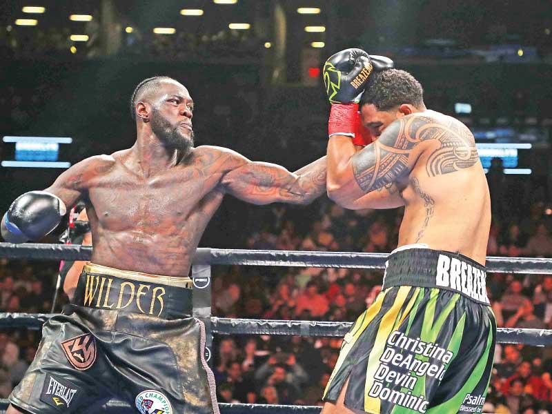 ويلدر يوجه لكمة قوية لمنافسه دومينيك بريزيل