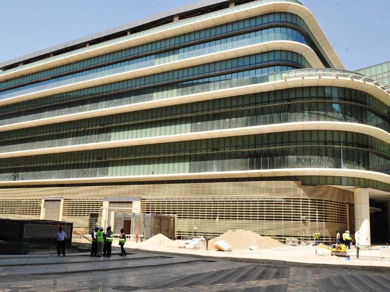 جامعة الشدادية