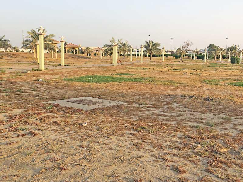 جانب من مظاهر الإهمال في حديقة الصليبية