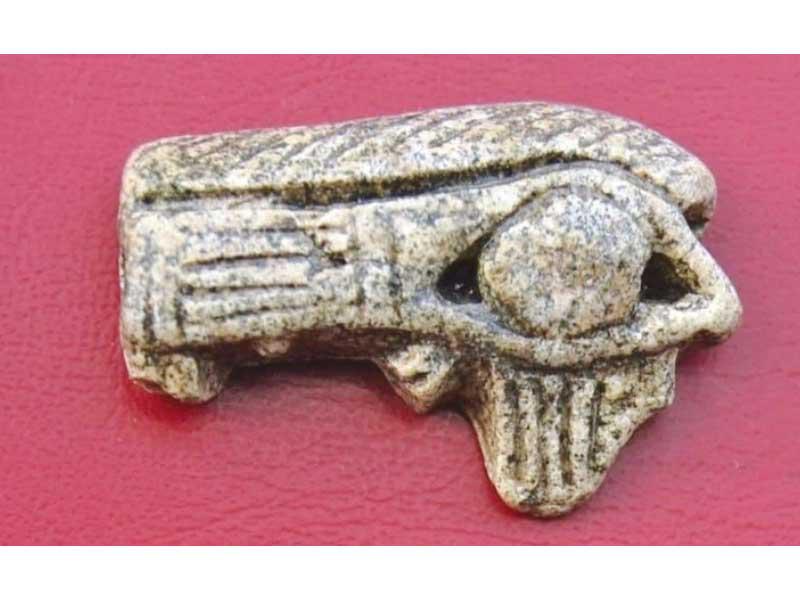 من المكتشفات 