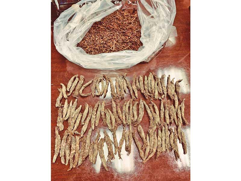 الماريغوانا المضبوطة