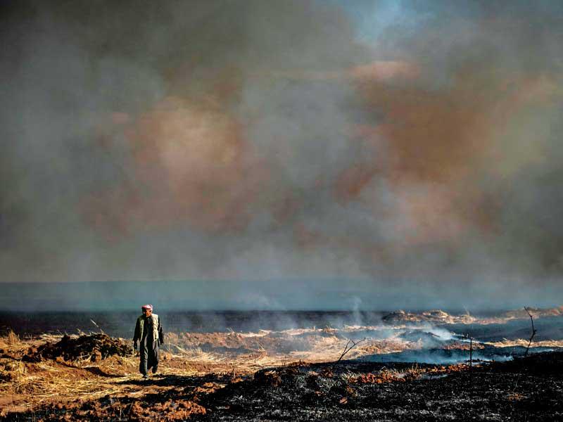 سوري في حقله المحترق ببلدة القحطانية الاثنين (أ ف ب)