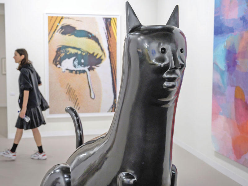 عرض القط الكبير 