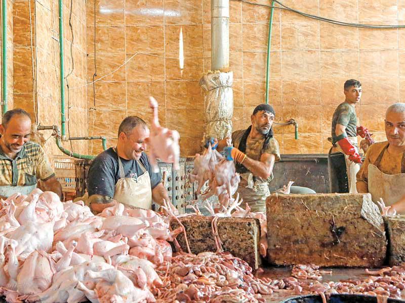 عاملون بمسلخ دجاج في دمشق (رويترز)