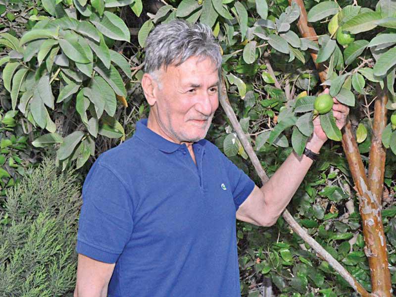 الفنان الراحل عزت أبوعوف