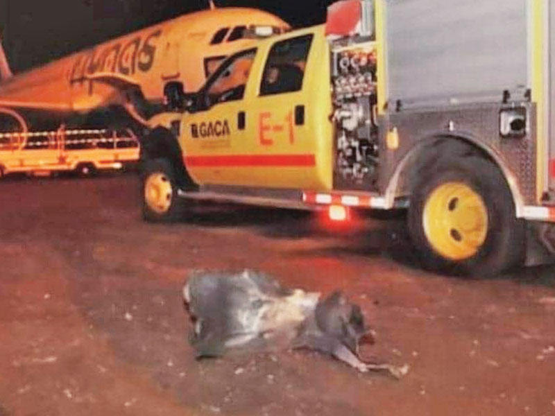 اثار تحطم الدرون في مطار مدينة أبها الدولي