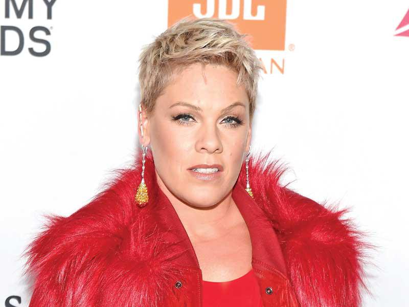 الفنانة العالمية بينك 