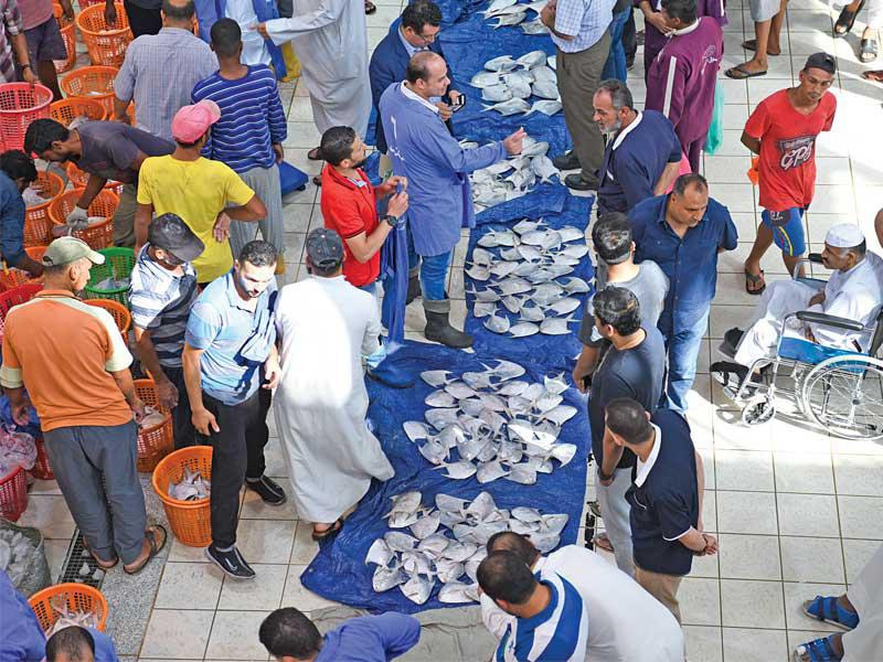 جانب من مزاد الزبيدي في يومه الأول أمس (تصوير عوض التعمري)