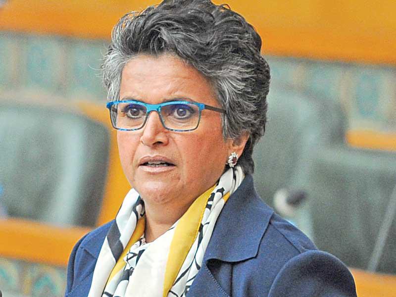 النائبة صفاء الهاشم