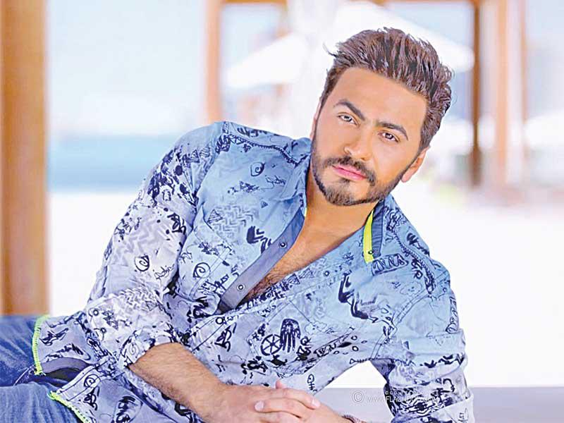 الفنان تامر حسني
