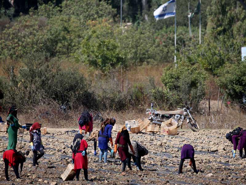 مزارعون لبنانيون يعملون في حقلهم بمنطقة الخيام على الحدود مع إسرائيل أمس 