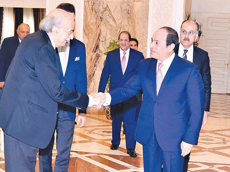 السيسي مستقبلاً جنبلاط أمس