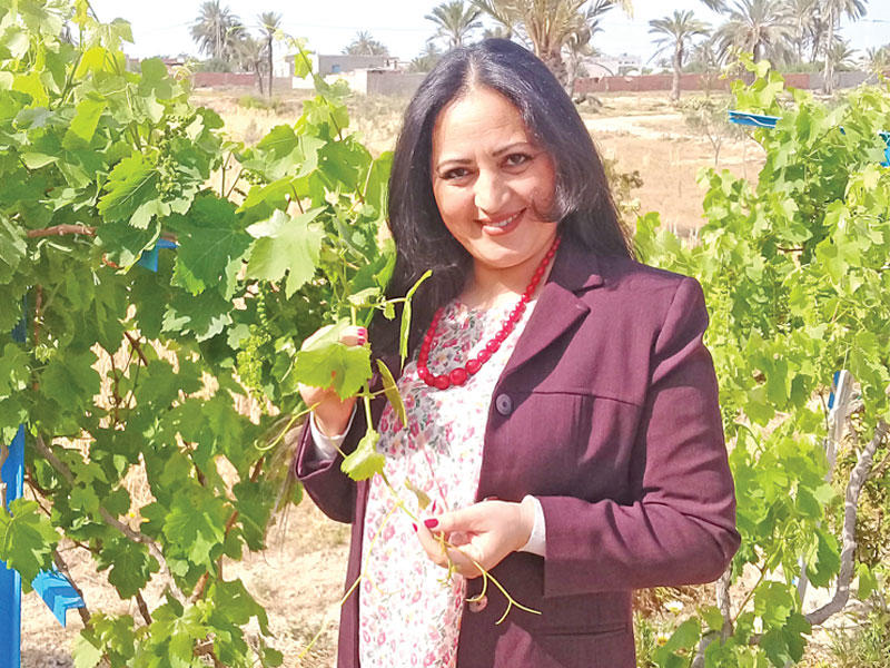 سونيا الفرجاني 