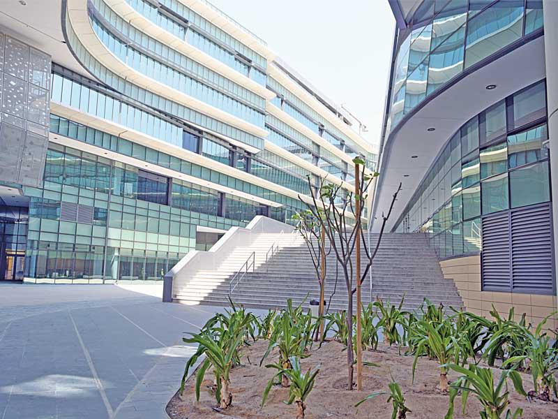 جانب من مشروع الشدادية