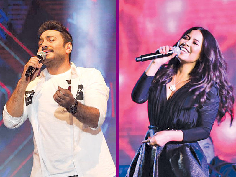 المطربة شيرين عبدالوهاب - الفنان تامر حسني 