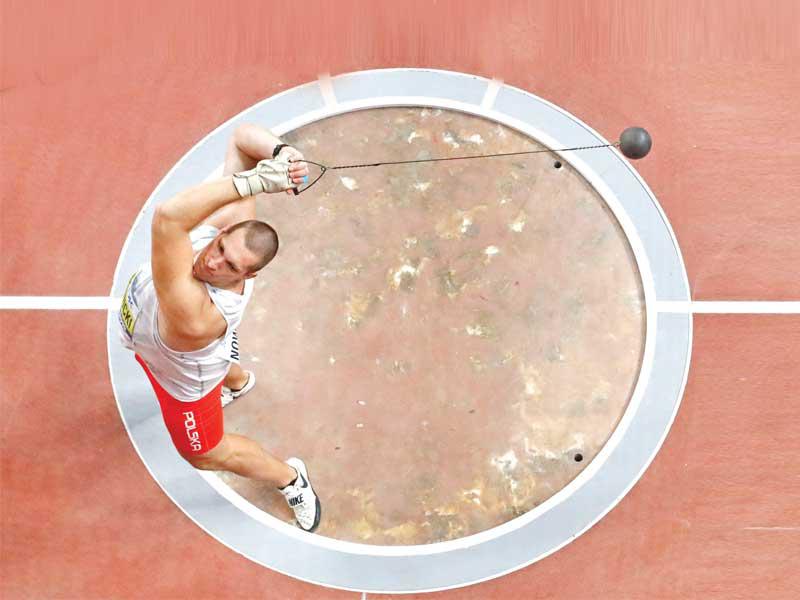 البولندي فوغيتش نوفيسكي