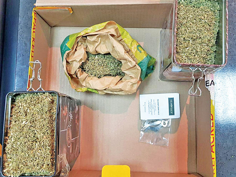 المخدرات المضبوطة