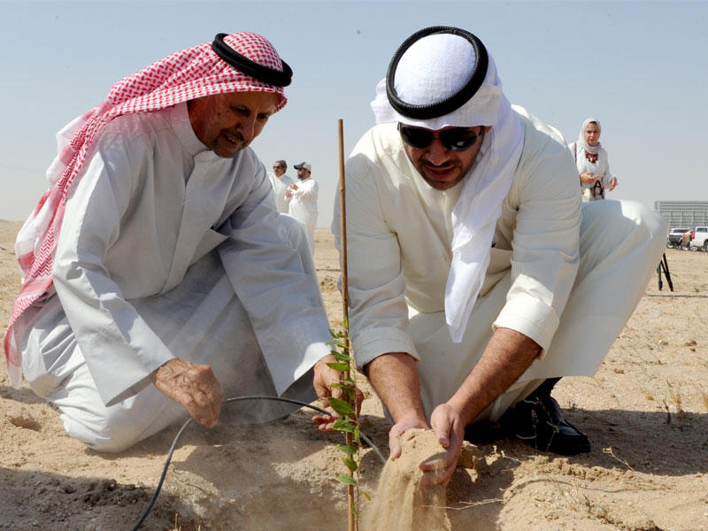 المدير العام لـ«البيئة» خلال غرس النباتات