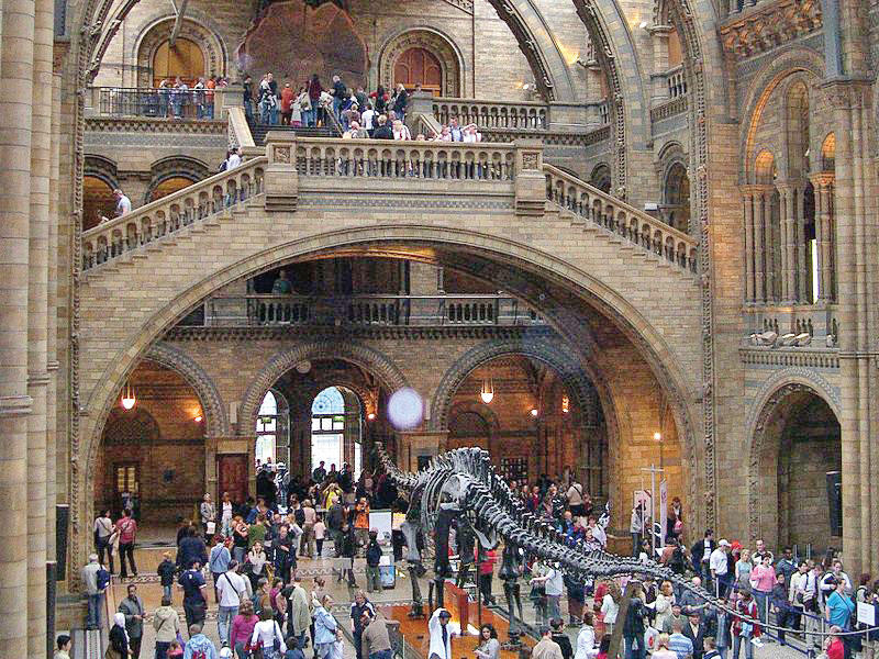 متحف التاريخ الطبيعي