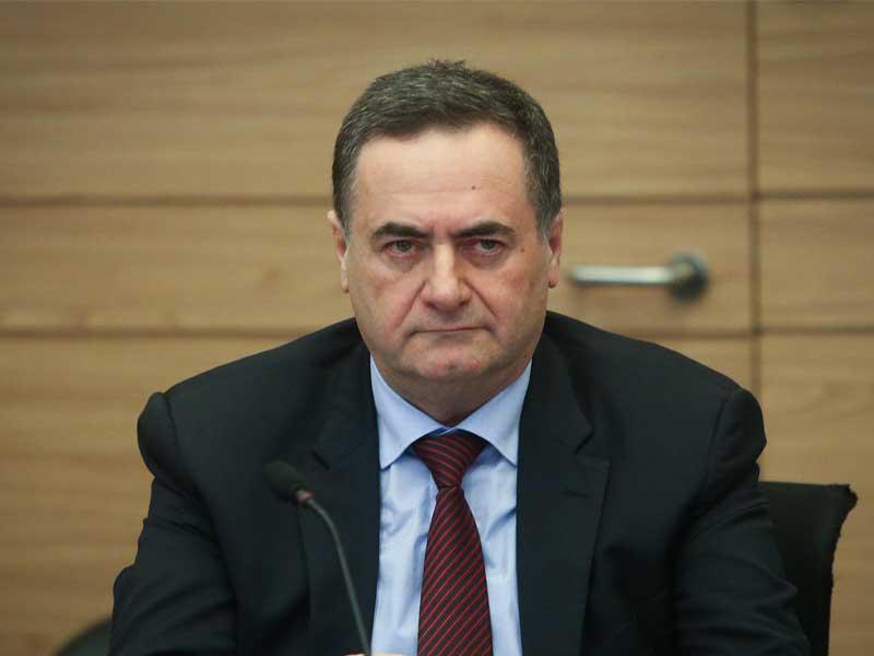 وزير الخارجية الإسرائيلي يسرائيل