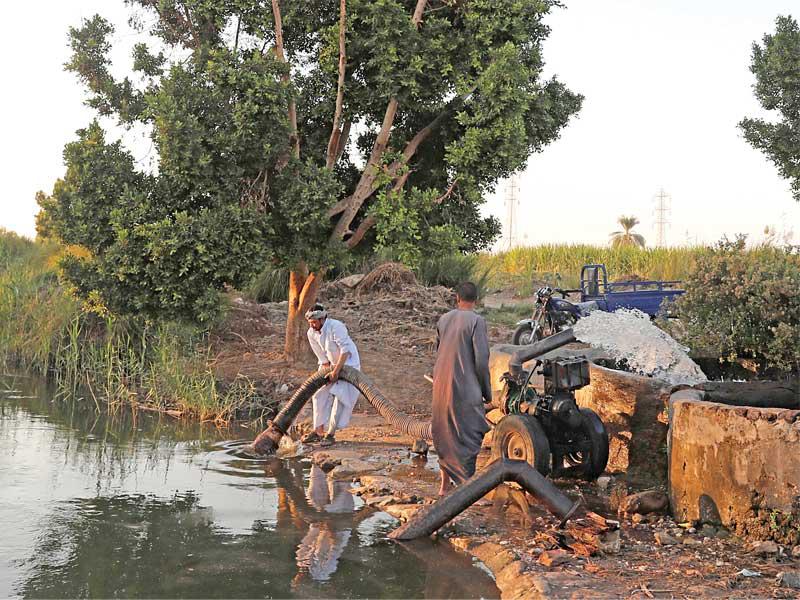 مزارعون على ضفاف النيل في مدينة الأقصر 