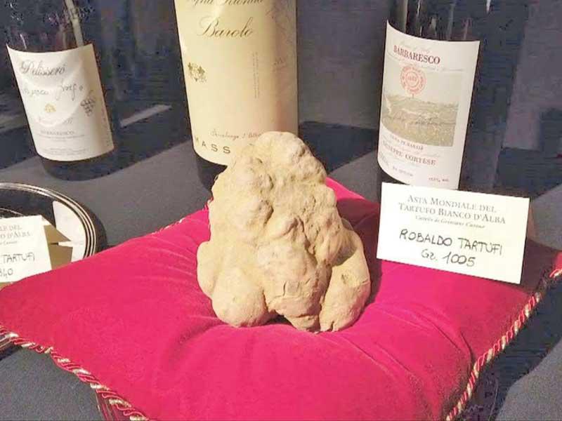 حبة فقع بيضاء بـ 120 ألف يورو