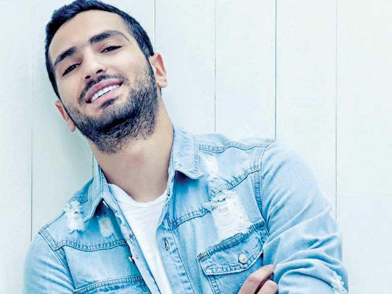 الفنان محمد الشرنوبي 