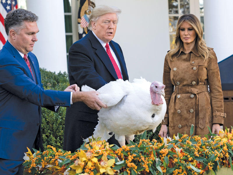 ترامب وميلانيا مع الديك «باتر» بعد العفو عنه أمس الأول (اي بي ايه)