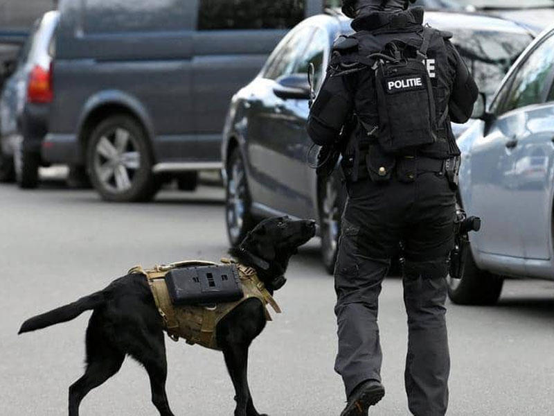 الشرطة الهولندية 