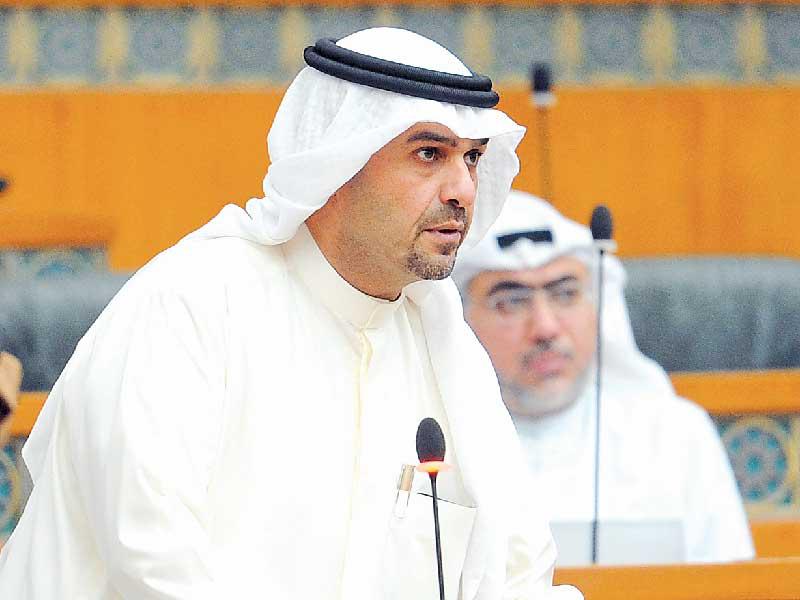 نائب رئيس الوزراء وزير الدولة لشؤون مجلس الوزراء أنس الصالح 