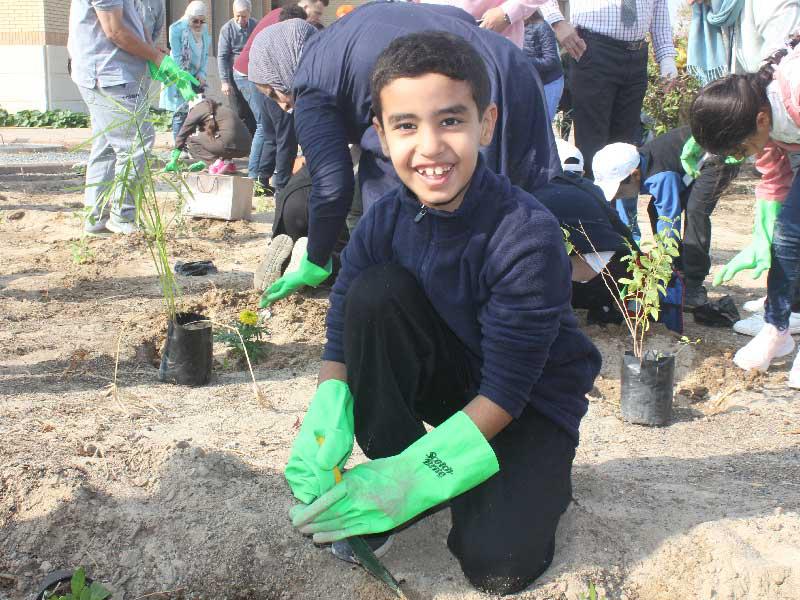 مشاركة من أحد الطلاب