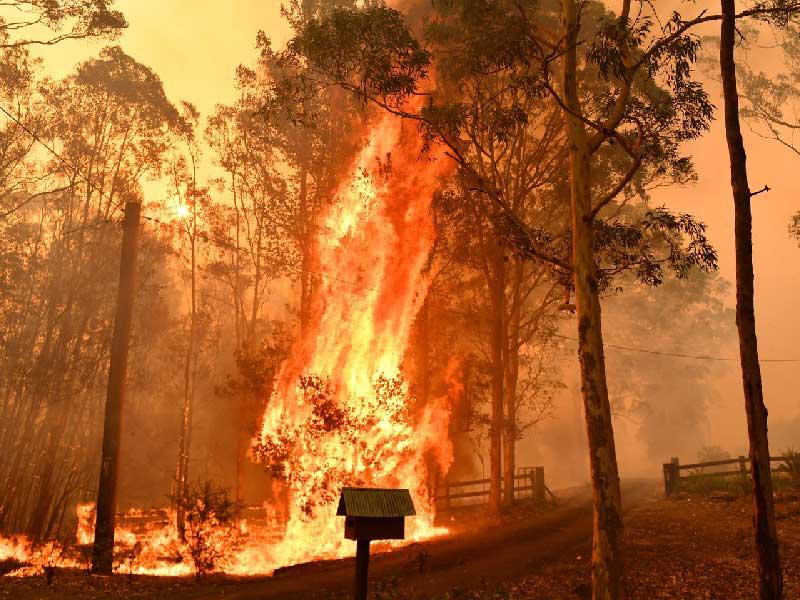 «حرائق» تتصدر غوغل أستراليا