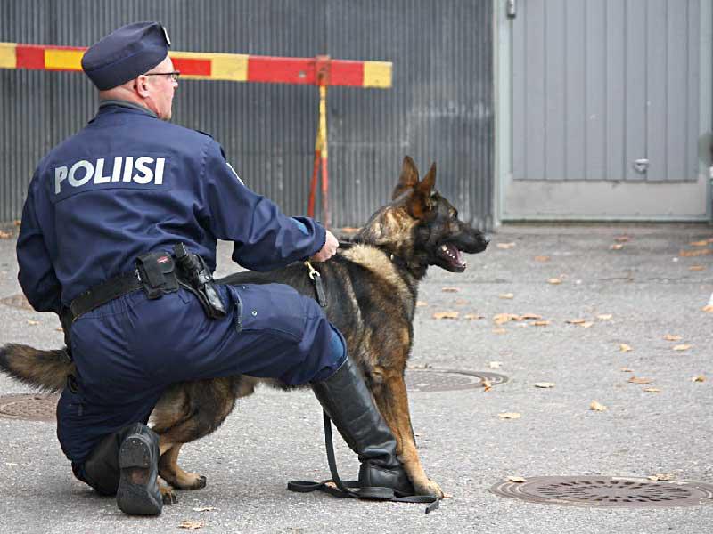 كلاب أميركا تموت في الأردن ومصر