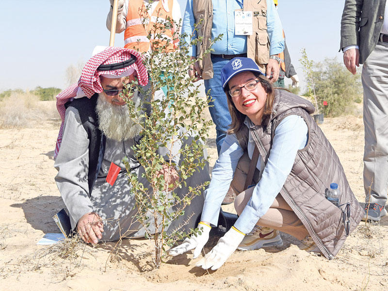 الحسن تزرع شتلة  (تصوير عبدالله خلف)