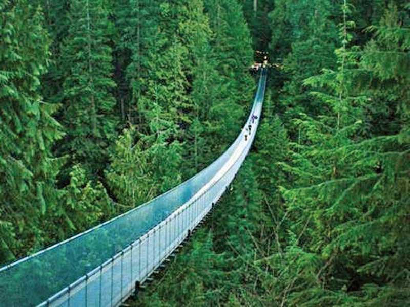 الغابات الواسعة في كولومبيا