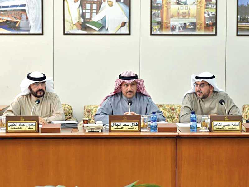  لجنة الشؤون الصحية الاجتماعية والعمل البرلمانية في اجتماع سابق