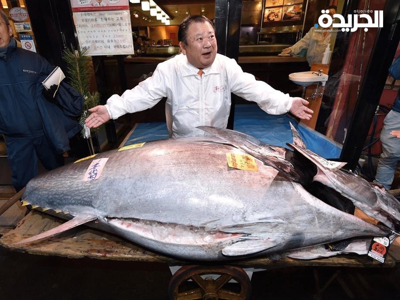 كيوشي كيمورا المتخصص بالسوشي والملقب بملك التونا