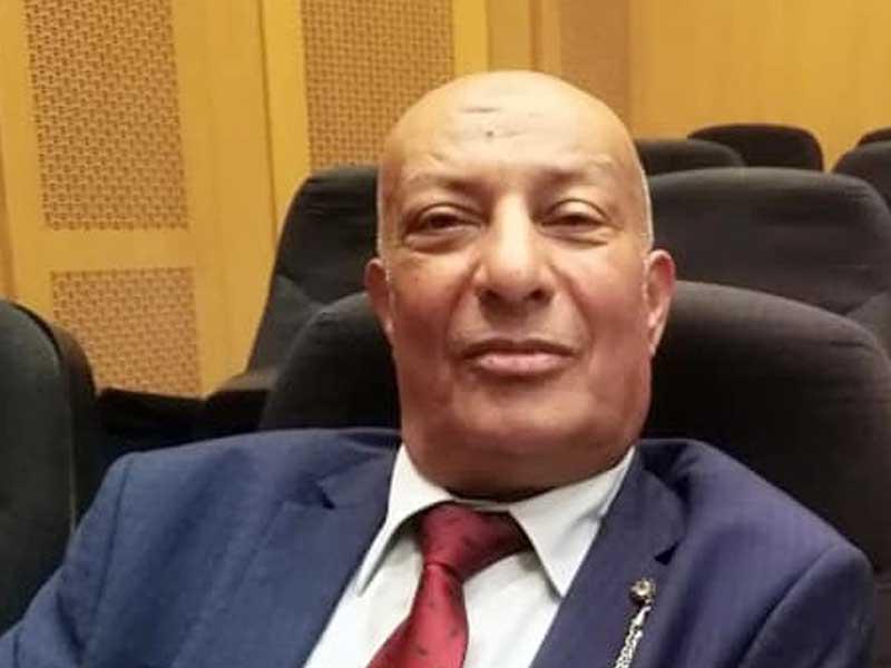 الشاعر المصري، د. فوزي خضر